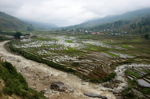 Рисовые террасы в долине