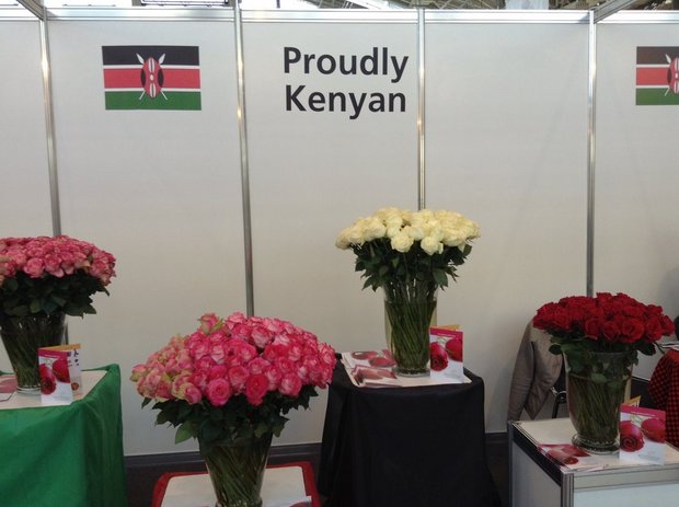Розы Кении