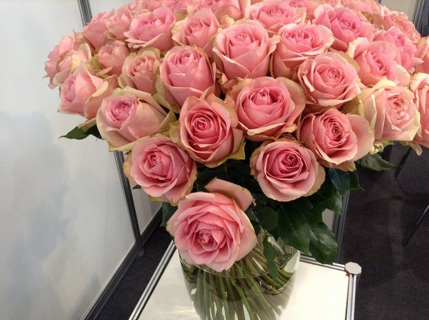Розы на выставке в Москве