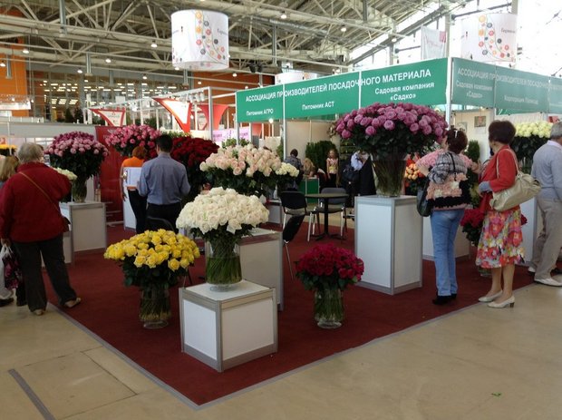 Выставка цветов в Москве - 2013