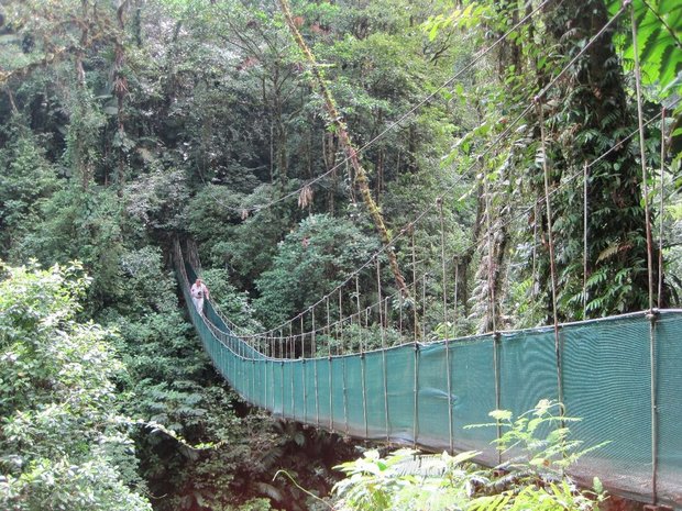 Подвесный мост Ареналь Коста Рика