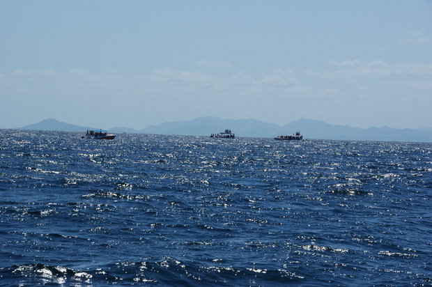 Туристы смотрят китов в бухте Самана