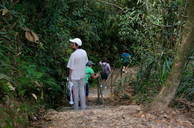 Туристы на Борнео