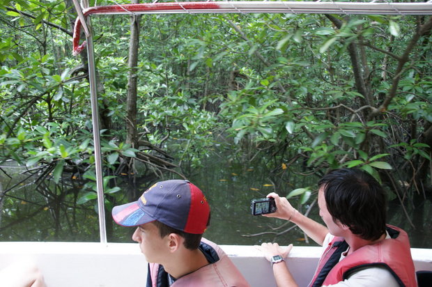Экскурсия по мангровой протоке