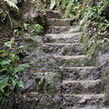 Лестница, ведущая к водопаду