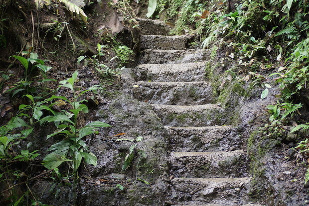 Лестница, ведущая к водопаду