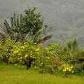 Маврикий. La Vallee des Couleurs natere park (земля 22 цветов)