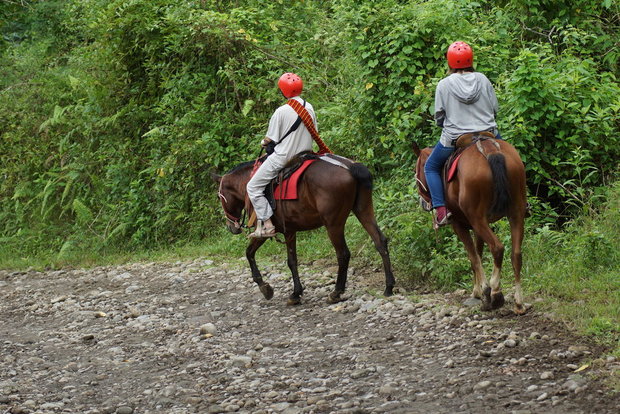 Экскурсия на лошадях