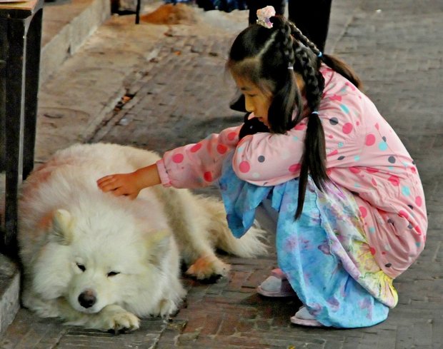 Ситан. Девочка с белой собакой