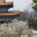 Весна в Китае