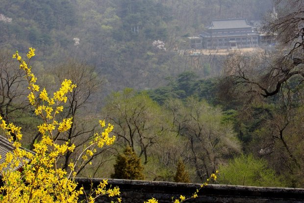 Весна в горах Цяншань