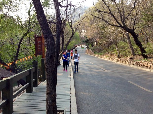 Дорожки парка Цяншань
