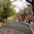 Дорожки парка Цяншань