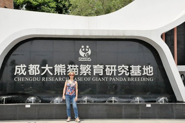 Исследовательский питомник гигантской панды, Чэнду, Китай