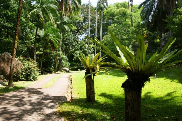 Ботанический сад г.Виктория