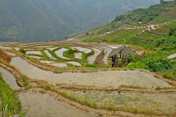 Китай, Луншен, Рисовые террасы