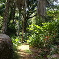 Ботанический сад Виктории