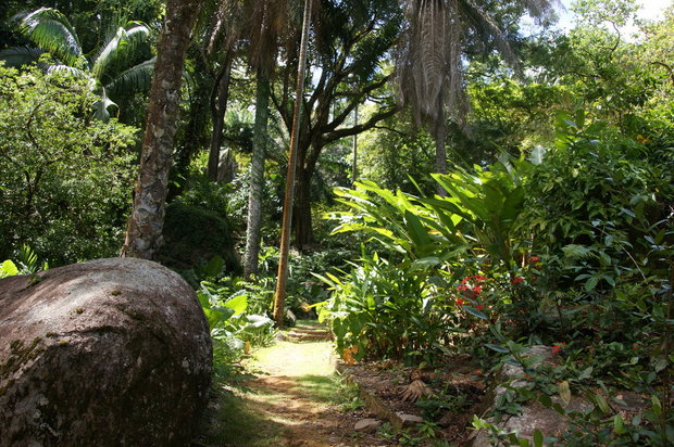 Ботанический сад Виктории