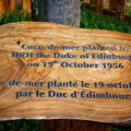 Табличка перед пальмой Коко-де-Мер