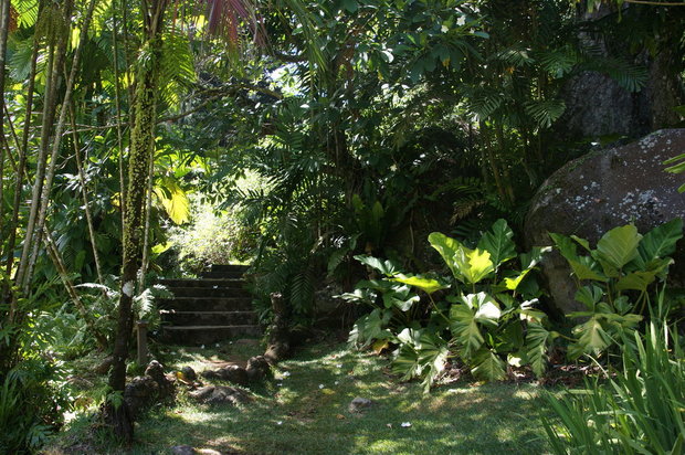 Тропинки ботанического сада