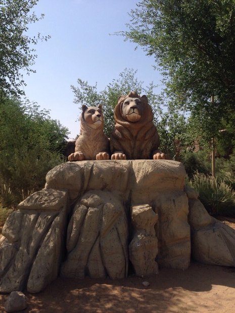 Зоопарк Аль-Айн