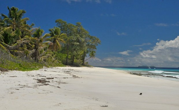Сейшельские острова, Aride Island, Остров Айрид