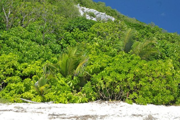 Сейшельские острова, Aride Island, Остров Айрид 