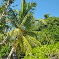 Сейшельские острова, Felicite Island, Oстров Фелисите