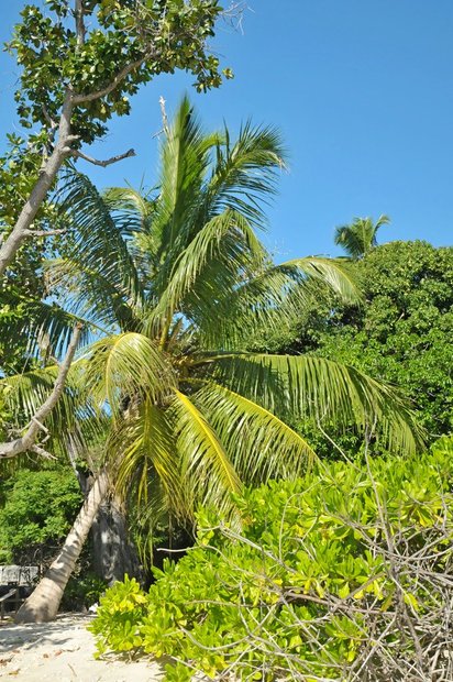 Сейшельские острова, Felicite Island, Oстров Фелисите