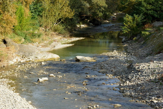 Река Bidente