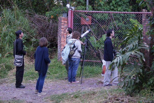 Коста Рика. Наблюдение за птицами