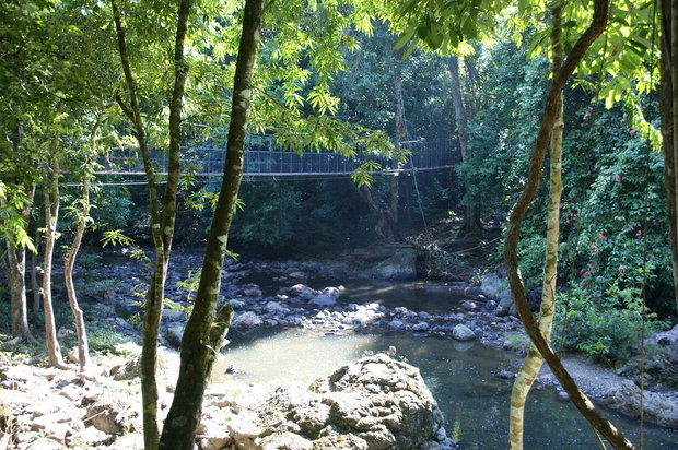 Подвесной мостик в Tabin Wildlife Reserve