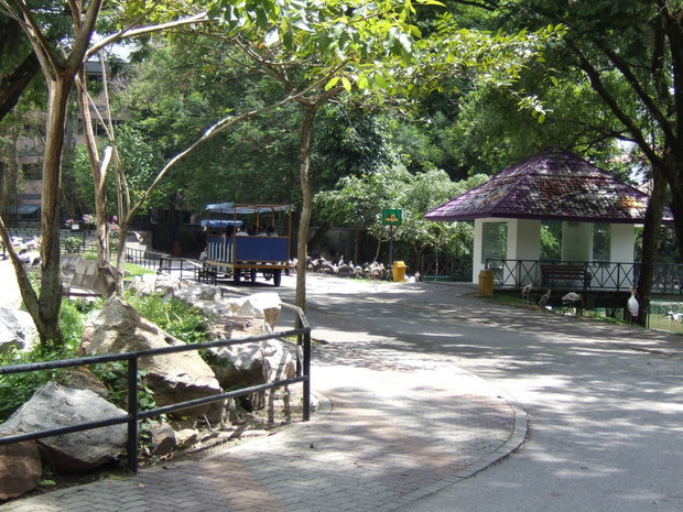 Зоопарк недалеко от Куала-Лумпура