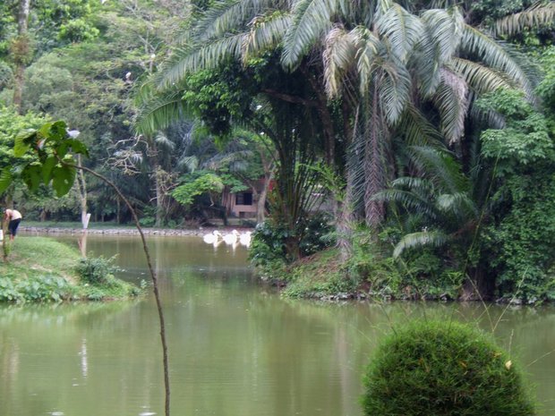 Зоопарк в Малайзии