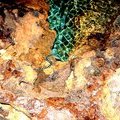 Морская змея в пещере Bat Cave, Боракай