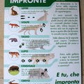 Животные Национального парка Форесте-Касентинези