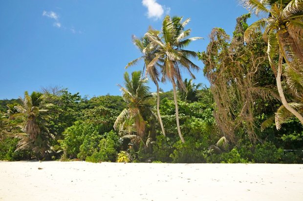 Сейшельские острова, остров Маэ, Anse Bougainville