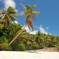 Сейшельские острова, остров Маэ, Anse Bougainville