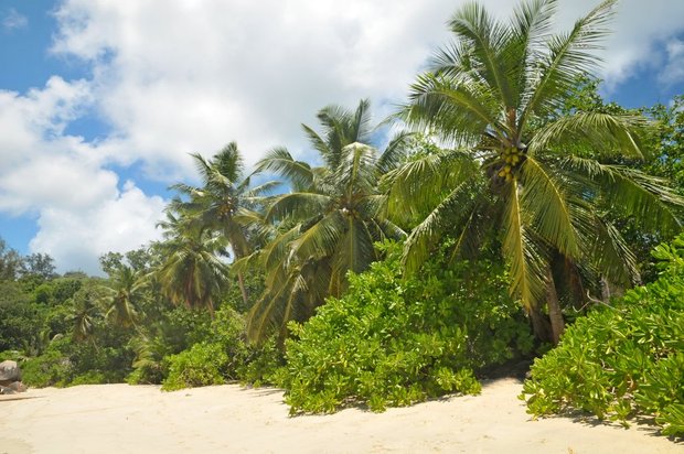Сейшельские острова, остров Маэ, Anse Takamaka