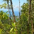 Сейшельские острова, остров Маэ, Национальный парк Морн, Восхождение на Морн Бланк