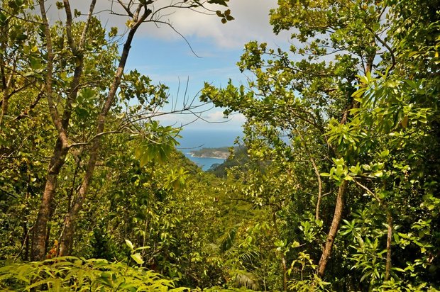 Сейшельские острова, остров Маэ, Национальный парк Морн, Восхождение на Морн Бланк