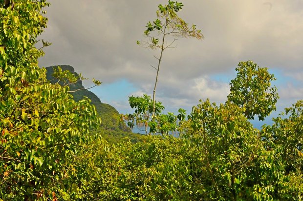Сейшельские острова, остров Маэ, Восхождение на Морн Бланк