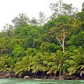 Сейшельские острова, Остров Муен, Moyenne Island