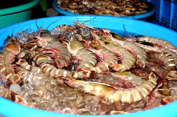 Филиппины, Боракай, рыбный рынок