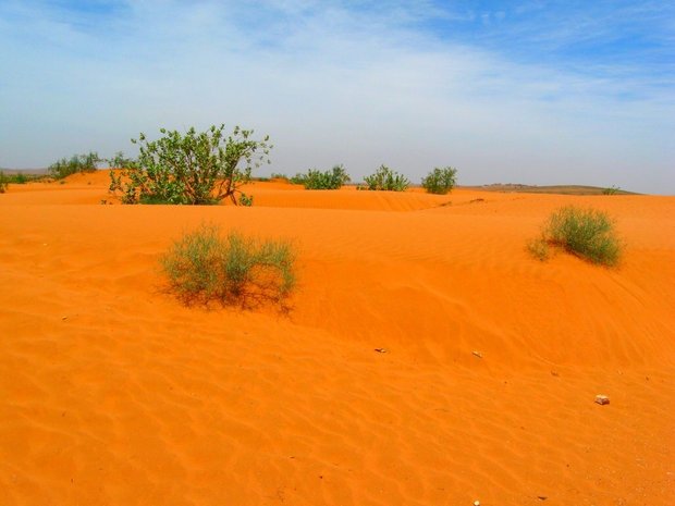 Марокко. Пустыня
