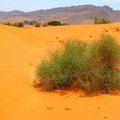 Марокко. Пустыня