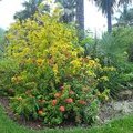 Сейшельские острова, Остров Маэ, Виктория, Ботанический сад Mont-Fleuri Botanical Gardens