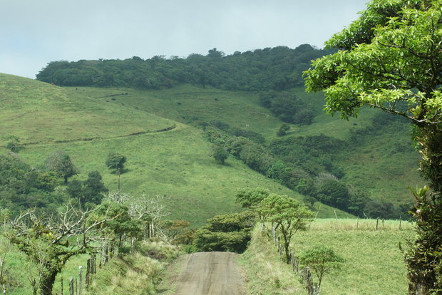 Дороги Коста-Рики