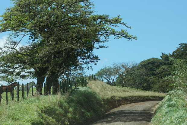 Дороги Коста-Рики