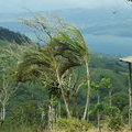 Природа Коста Рики